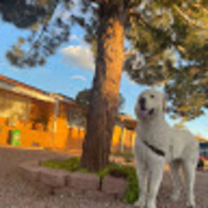 Meet your Posher, Sharon